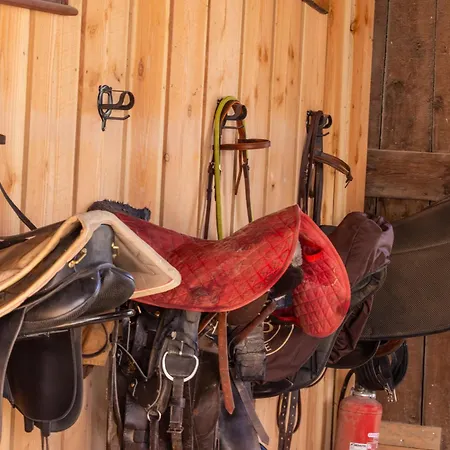 Le Galussel D'etape Et De Sejour Guest house