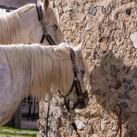 Le Galussel D'etape Et De Sejour Guest house 3*
